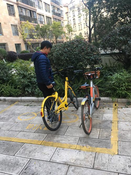 公益活动之社区服务整理共享单车